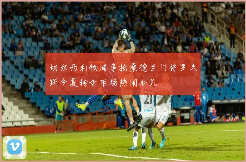 切尔西利物浦争抢桑德兰门将罗夫斯今夏转会市场热闹非凡